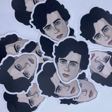 Load image into Gallery viewer, Timmy Chalamet Sticker
